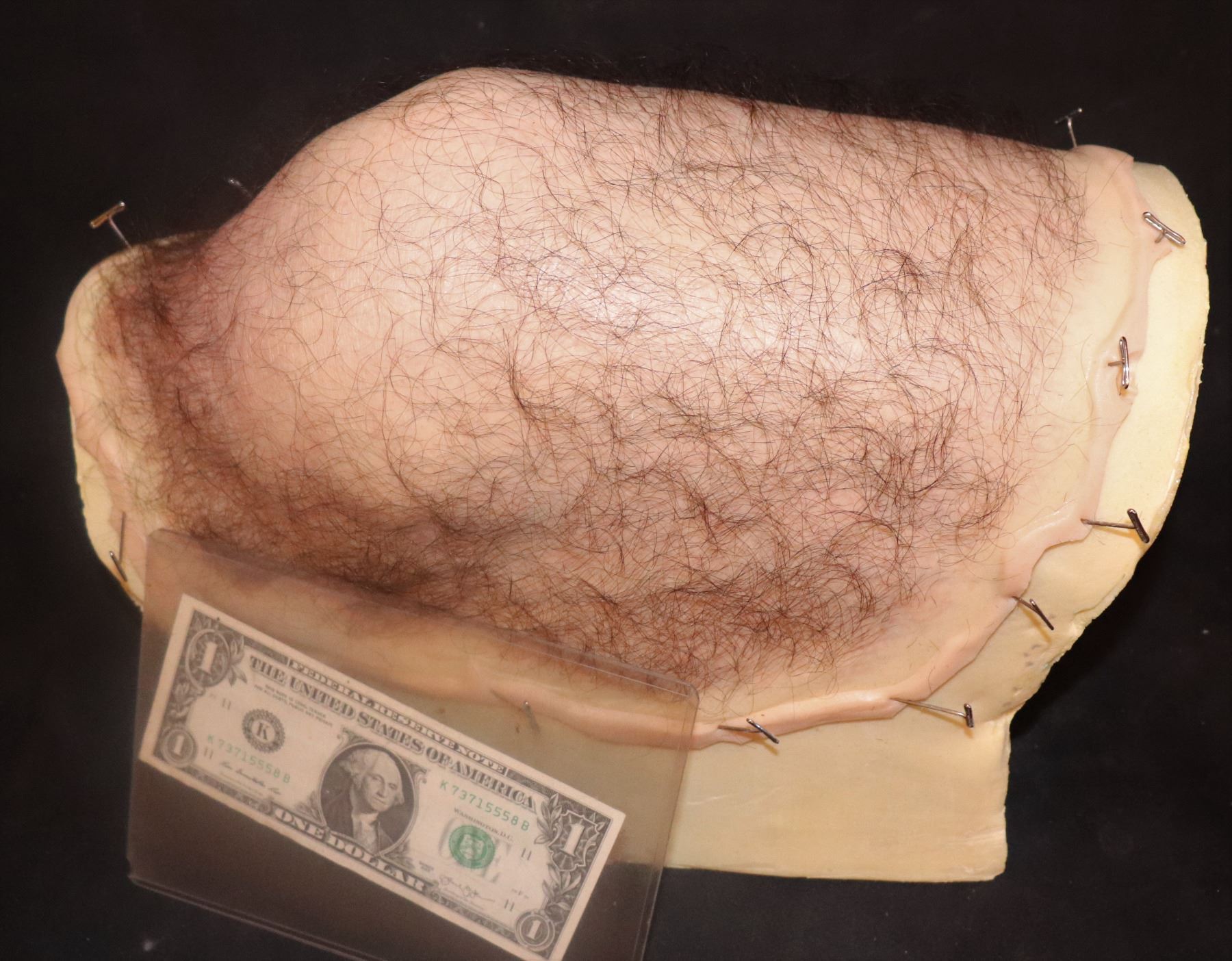 Www hairy assholes com